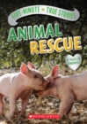 Image for Five-Minute True Stories: Animal Rescue