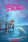 Image for Lost in the Storm (Dolphin Island #2)