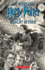 Image for Harry Potter and the Goblet of Fire