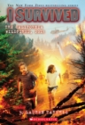 Image for I Survived the California Wildfires, 2018 (I Survived #20)