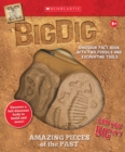 Image for Big Dig Excavation Kit