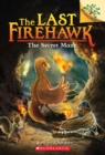 Image for The Secret Maze: A Branches Book (The Last Firehawk #10)
