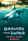 Image for The Bull Shark (Dragged from Under #1)