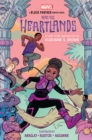 Image for Into the heartlands