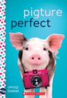 Image for Pigture Perfect: A Wish Novel