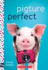 Image for Pigture Perfect: A Wish Novel