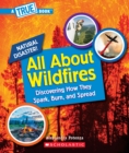 Image for All About Wildfires (A True Book: Natural Disasters)