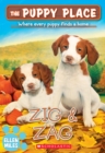 Image for Zig &amp; Zag (The Puppy Place #64)