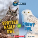 Image for Spotted Eagle-Owl or Snowy Owl (Wild World: Hot and Cold Animals)