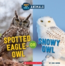 Image for Spotted Eagle-Owl or Snowy Owl (Wild World: Hot and Cold Animals)