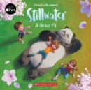 Image for Stillwater: A Perfect Fit