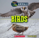 Image for Birds (Wild World: Fast and Slow Animals)