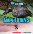 Image for Amphibians (Wild World: Big and Small Animals)