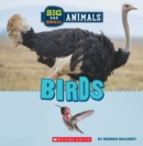 Image for Birds (Wild World: Big and Small Animals)