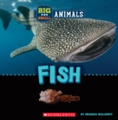 Image for Fish (Wild World: Big and Small Animals)
