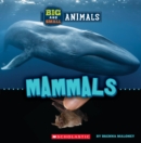 Image for Mammals (Wild World: Big and Small Animals)