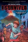Image for I Survived the Destruction of Pompeii, AD 79 (I Survived Graphic Novel #10)