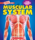 Image for Muscular System (A True Book: Your Amazing Body)