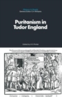 Image for Puritanism in Tudor England