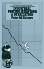 Image for Industrial pricing behaviour and devaluation
