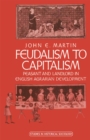 Image for Feudalism to Capitalism: Peasant and Landlord in English Agrarian Development