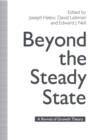 Image for Beyond the Steady State: A Revival of Growth Theory