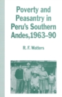 Image for Poverty and Peasantry in Peru&#39;s Southern Andes, 1963-90