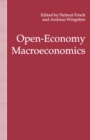 Image for Open-Economy Macroeconomics