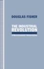 Image for The Industrial Revolution: a macroeconomic interpretation