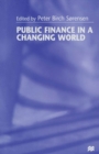 Image for Public Finance in a Changing World