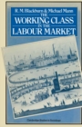 Image for Working Class in the Labour Market