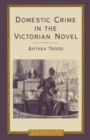 Image for Domestic Crime in the Victorian Novel