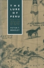 Image for The Lure of Peru : Maritime Intrusion into the South Sea, 1598-1701