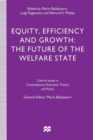 Image for Equity, Efficiency and Growth : The Future of the Welfare State
