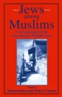 Image for Jews Among Muslims: Communities in the Precolonial Middle East