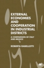 Image for External Economies and Cooperation in Industrial Districts