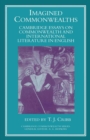 Image for Imagined Commonwealth: Cambridge Essays on Commonwealth and International Literature in English