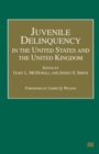 Image for Juvenile Delinquency in the United States and the United Kingdom