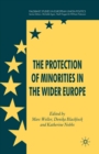 Image for The Protection of Minorities in the Wider Europe