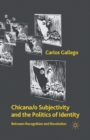 Image for Chicana/o Subjectivity and the Politics of Identity : Between Recognition and Revolution