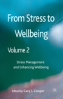 Image for From Stress to Wellbeing Volume 2 : Stress Management and Enhancing Wellbeing