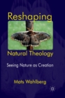 Image for Reshaping Natural Theology