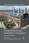 Image for Energy Efficiency and Sustainable Consumption : The Rebound Effect