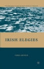 Image for Irish Elegies
