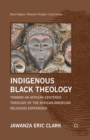 Image for Indigenous Black Theology