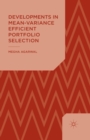 Image for Developments in Mean-Variance Efficient Portfolio Selection