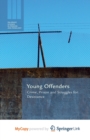 Image for Young Offenders : Crime, Prison and Struggles for Desistance