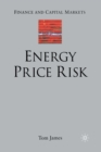 Image for Energy Price Risk : Trading and Price Risk Management
