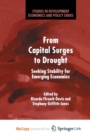 Image for From Capital Surges to Drought : Seeking Stability for Emerging Economies