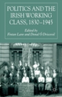 Image for Politics and the Irish Working Class, 1830-1945